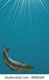 whale underwater. vector image