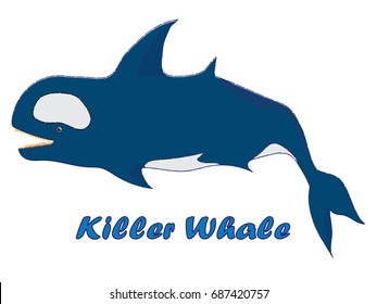 Whale vector cartoon illustration t shirt design for kids with salt water mammal killer whale orca theme wallpaper