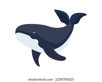 Whale vector flat illustration, isolated on white background. Seas and oceans, underwater world. Sea creatures. Big blue whale illustration. Aquatic marine mammal icon.