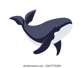 Whale vector flat illustration, isolated on white background. Seas and oceans, underwater world. Sea creatures. Big blue whale illustration. Aquatic marine mammal icon.