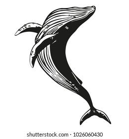 Whale vector hand drawn illustration.