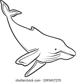 Whale Vector Hand Drawn Illustration Black and White Graphic