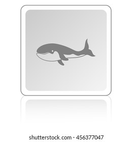 whale , vector, icon

