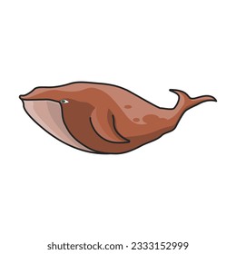 Whale vector icon.Color vector icon isolated on white background whale.
