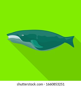 Whale vector icon.Flat vector icon isolated on white background whale.