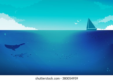 Whale vector illustration