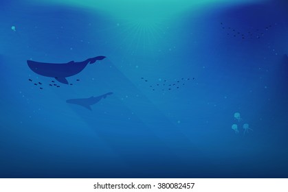 Whale vector illustration