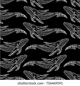 Whale vector illustration.