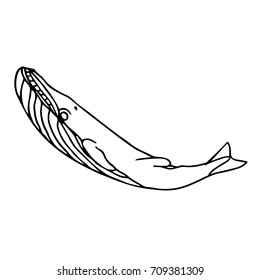 Whale vector illustration. Doodle style. Design icon, print, logo, poster, symbol, decor, textile, paper, card. 