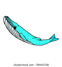 Whale vector illustration. Doodle style. Design icon, print, logo, poster, symbol, decor, textile, paper, card. 