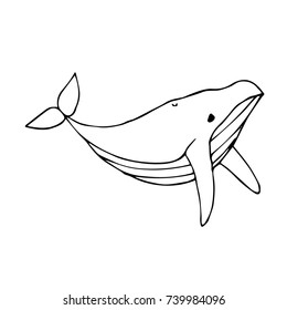 Whale vector illustration. Doodle style. Design, print, logo, decor, textile, paper.