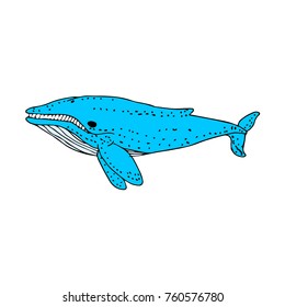 Whale vector illustration. Doodle style. Design, print, logo, decor, textile, paper