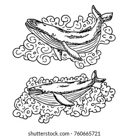 Whale vector illustration. Doodle style. Design, print, logo, decor, textile, paper
