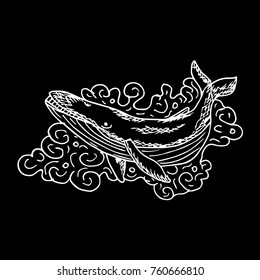Whale vector illustration. Doodle style. Design, print, logo, decor, textile, paper