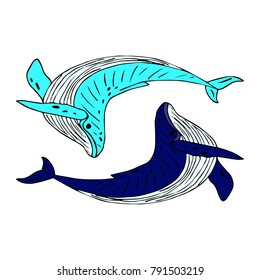 Whale vector illustration. Doodle style. Design, print, decor, textile, paper
