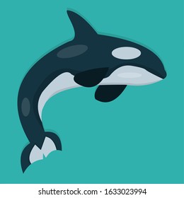 whale vector illustration in flat style 