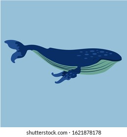 whale vector illustration on blue background, cartoon style