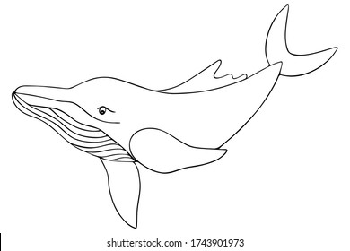 Whale mustache Images, Stock Photos & Vectors | Shutterstock