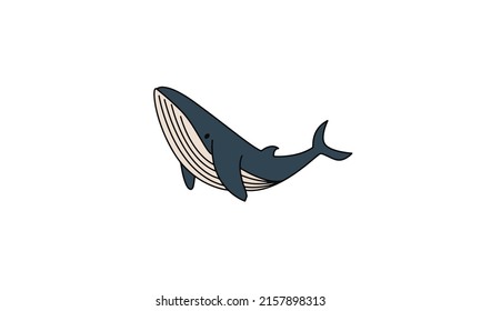 whale vector image design set for illustrations, prints, logo, decoration and other creative and design needs. 