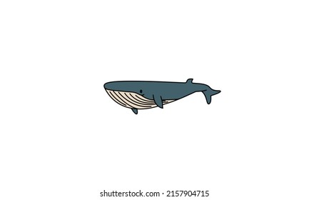 whale vector image design set for illustrations, prints, logo, decoration and other creative and design needs.