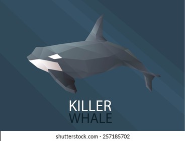 Whale Vector low poly polygon