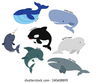 Whale vector set