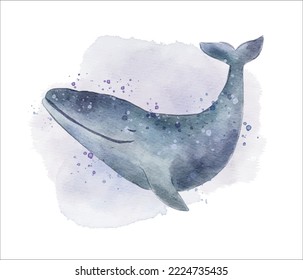whale watercolor illustration with isolated background