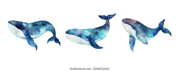 Whale watercolor set isolated on white background. Collection of underwater animal, ocean whale fish, sea nature drawing. Vector illustration