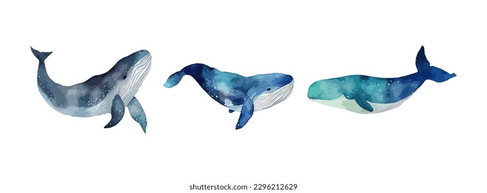 Acuarela de ballena aislada en fondo blanco. Colección de animales submarinos, peces ballena oceánica, dibujo de la naturaleza marina. Ilustración del vector