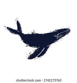 Whale with watersplashes isolated on white. Vector illustration.