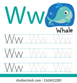 whale worksheet vector design