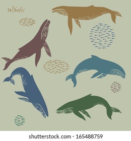  whales