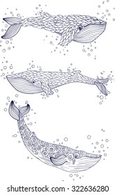 Whales