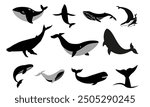 Whales, blue whale silhouette, blue whale icon set, whale vector.