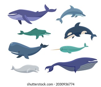 Whales, bowheads, narwhals, orcas cartoon illustration set. Group of blue and white marine animals of different sizes. Mammal, sea and ocean creatures concept