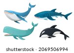 Whales collection in cartoon illustration