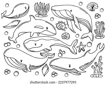 Whales color sketch set. Big collection of different hand drawn whales and dolphins in engraving style. Zoological illustration of ocean mammals