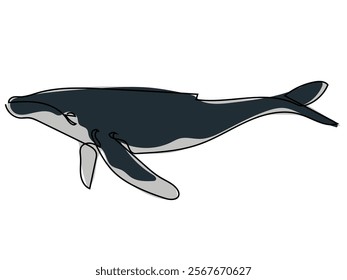 Whales in a continuous line format that can be edited later.