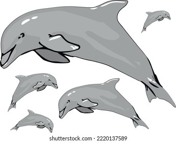 Whales, dolphins sharks and other nautical mammals animals. The dolphin