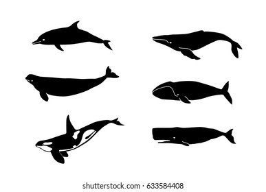 Outline Whale Images, Stock Photos & Vectors | Shutterstock