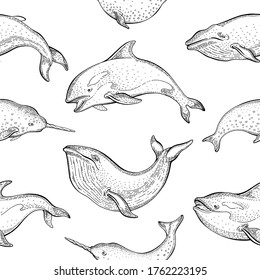 Featured image of post Whale Illustration Outline Polish your personal project or design with these whale outline transparent png images make it even more personalized and more