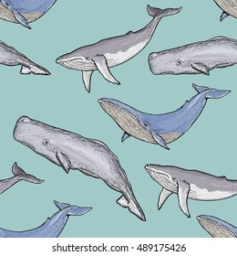 Whales seamless pattern sperm whale blue whale pattern vector 