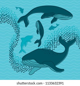 Whales and sharks set