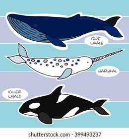 Whales stickers narwhal whale blue whale