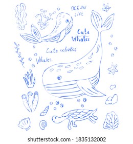whales, turtle, seashells and algae hand drawn in contours - set of vector elements, eps