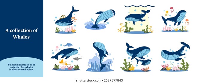 Whales under the sea set: A stunning collection of eight blue whale illustrations, such as swimming, breaching, interacting with baby whales, coral reefs, and marine life.