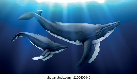 Whales under water illuminated by sunlight realistic blue background vector illustration