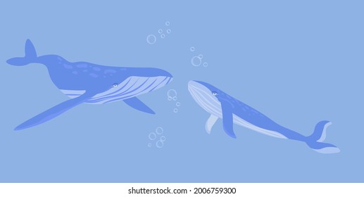 Whales vector stock illustration. A pair of marine animals at the depth of the ocean. Humpback whales in the water. A horizontal banner. Isolated on a blue background.