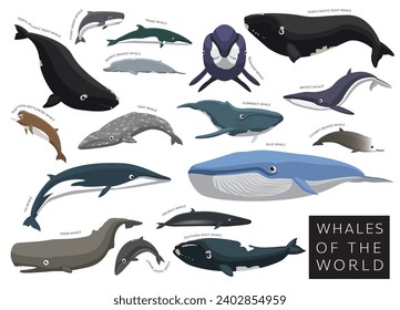 Ballenas del mundo definen al personaje del vector de dibujos animados