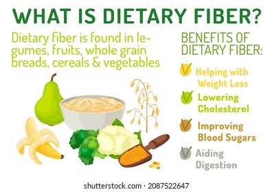 What Is Dietary Fiber. Benefits. Healthcare, Nutrition, Medicine Image. Medical Infographics With Colorful Food Examples. Vector Illustration On A White Background